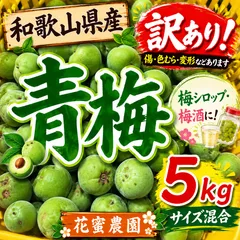 和歌山県産　青梅　訳あり　5キロ　サイズ混合のサムネイル