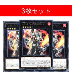 シャドール・ヘッジホッグ【3枚セット】 - メルカリ