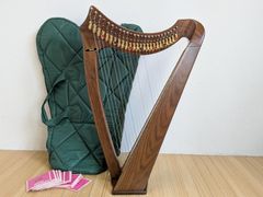 Salvi Mia ハープ 34弦 本体 - メルカリ
