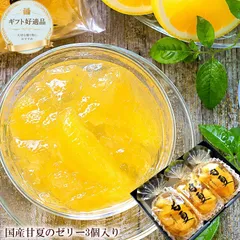 送料無料 [甘夏ゼリー3個] ギフト サンヨー堂 国産果実 果肉たっぷり 常温保存 日持ち お供え 初盆 内祝い 涼菓のサムネイル