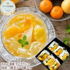 茂木一まる香本家 びわゼリー 30個入 定価13,000円 - メルカリ