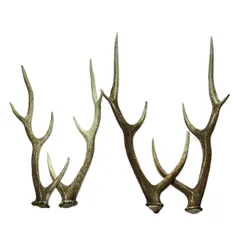 エゾ鹿の角 蝦夷鹿  4本 2対 セット 全長約64cm/62.5cm/52.5cm/49cm ハンドメイド 素材のサムネイル