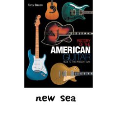 TAYLOR GUITARS 30th 記念本 - メルカリ