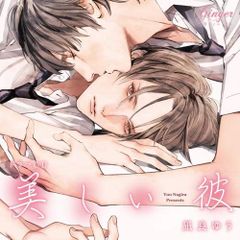 美しい彼 DVD 公式シナリオブック 初回生産限定盤 全巻収納BOX