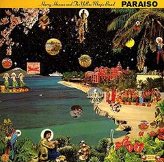 細野晴臣 はらいそ レコード LP Paraiso - メルカリ