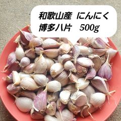 本年度初物 ボイラー乾燥済み にんにく500g（M,L,LL50粒前後）大分県産 