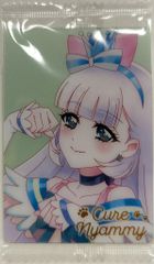 PSA10 わんだふるぷりきゅあ! キュアニャミー HR ウエハース プリキュア ウエハース キュアニャミー HR わんだふるぷりきゅあ