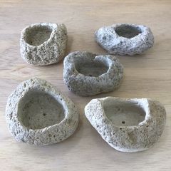 ウミノモリ様専用軽石鉢 - メルカリ