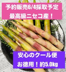 北海道産天然ネマガリタケ瓶詰め2本 姫竹 - メルカリ