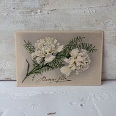 French Antique White Carnation Postcard | Bonne fête Gold Embossed Floral Botanical