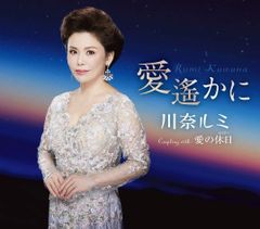 ドラマ極曲100 イケパラ サントラ 花ざかりの君たちへ サウンド