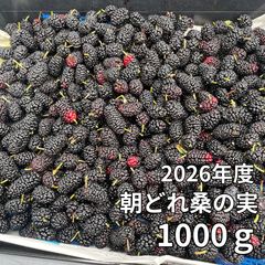 冷凍 山桑の実 約6キロ - メルカリ