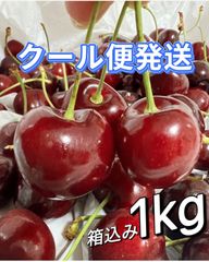 マツモト商店『6月7日〜10日お休み』 - メルカリShops