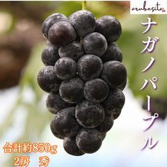 30日発送【山梨県産】ブラックビート秀品5kg 産地直送 - メルカリ