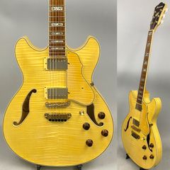 11529】Burny by FERNANDES RFA-75 フルアコ - メルカリ