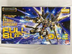[미개봉] MG 1/100 ZGMF-X20A 스트라이크 프리덤 건담 풀 버스트 모드 (기동전사 건담 SEED DESTINY* 동봉 불가