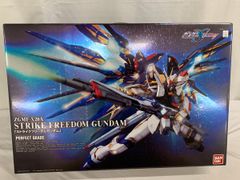 [미개봉] PG 1/60 ZGMF-X20A 스트라이크 프리덤 건담 (기동전사 건담 SEED DESTINY)■* 동봉 불가