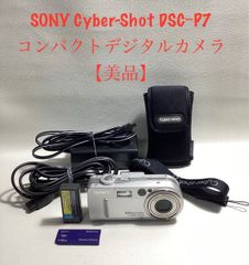 撮影再生ダビングOK Panasonic NV-DS7 液晶大画面 MiniDV - メルカリ