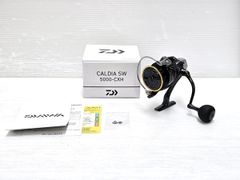 Daiwa 23 BG SW 18000 peライン8号300m付 bgsw - メルカリ
