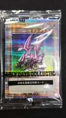 2026年最新】ホーリーナイトドラゴン 25thの人気アイテム - メルカリ