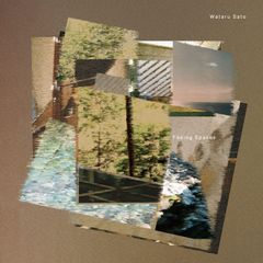 藤枝伸介 Perspective Flying Steps レコード 7インチ - メルカリ