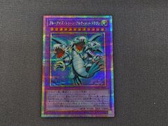 ブルーアイズ・トゥーン・アルティメットドラゴン プリシク 遊戯王