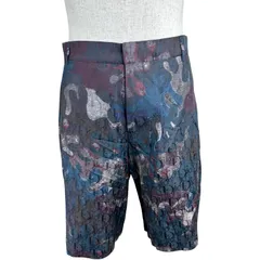 クリスチャン・ディオール Christian Dior × Peter Doig 総柄ショートパンツ 013C121A5436 ネイビー シルク メンズ ショートパンツのサムネイル