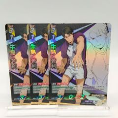 [정] 우시시마 와카리 3장 하이큐 바보카 브레이크 최강의 도전자 시라토리자와 / Haikyu!! Baboca BREAK Ushijima Wakatoshi HV-P02