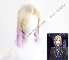[무료 배송] 뷔르첸하이트 디즈니 트위스티드 원더랜드 가발 cosplay wig 넷 첨부 신품 미사용 CJF61P616
