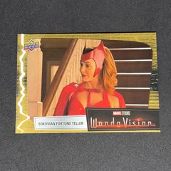 エリザベスオルセン スカーレットウィッチ 直筆サインカード marvel