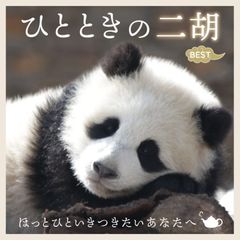 ☆かたぱんさま専用☆ おまとめオーダー フライヤー4種セット チラシ