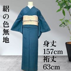 梅乃【225】洗える 絽 色無地 紋なし 未使用 水色 お茶席 お宮参り