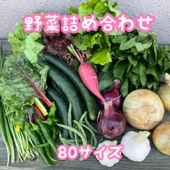 野菜セット  野菜詰め合わせ  80サイズのサムネイル
