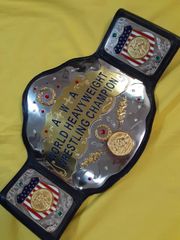 チャンピオンベルト レプリカ WKF ringside キックボクシング インド