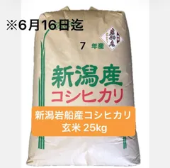 新潟岩船産コシヒカリ 玄米 25kgのサムネイル