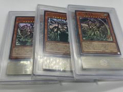 り*な様 ARS鑑定10 遊戯王 三幻神 墨絵 - メルカリ