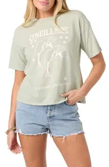 オニール レディース トップス Tシャツ コットン グラフィック ONeill Twinning Cotton Graphic TShirt Desert Sage セージのサムネイル