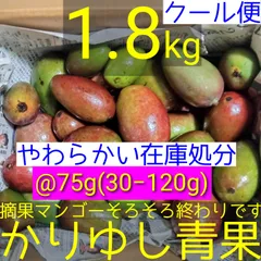 2026年最新】摘果マンゴーの人気アイテム - メルカリ