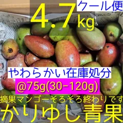 2026年最新】摘果マンゴーの人気アイテム - メルカリ