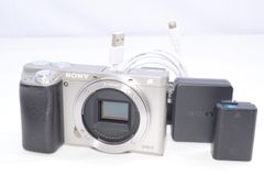 シャッター8252回 SONY α6000 ボディ ILCE-6000 - メルカリ
