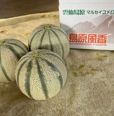 着いたら食べ頃 超特大!!!!優品 品種：ティアラ北海道アサヒメロン3玉 