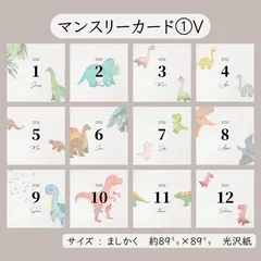 マンスリーカード①⋆ 𝐕 𓅯 * 12枚セットのサムネイル