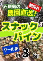 沖縄県石垣島産 朝採れスナックパイン 約3kg 農園直送 - メルカリ