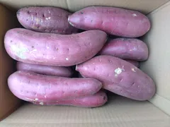 さつまいも 洗い 紅はるか 2L.3Lサイズ 10kg 訳ありのサムネイル