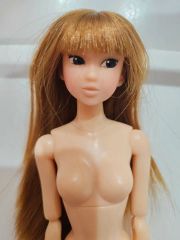 ボークス ニーベルンゲンの指環 アルト 1/6 ドール 本体 ロスト 