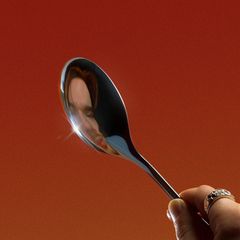 Wild Planet Supersonic Ear パラボラ型集音器 - メルカリ
