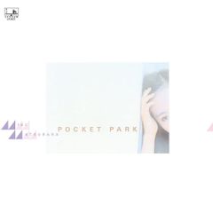 松原みき POCKET PARK WHO ARE YOU？ LP2枚セット 松原みき POCKET PARK WHO ARE YOU？ LP2枚セット - メルカリ