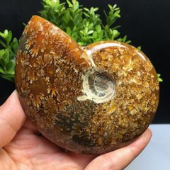 AAAAA級家庭円満☆天然ローズクォーツ原石B0418/YS/ZX482/139A - メルカリ