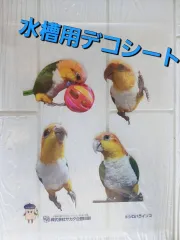 何度でも貼れる！水槽用デコシート【シロハラインコ写真】A4サイズ    静電気吸着タイプのサムネイル