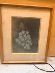 林檎花図の複製画 - メルカリ